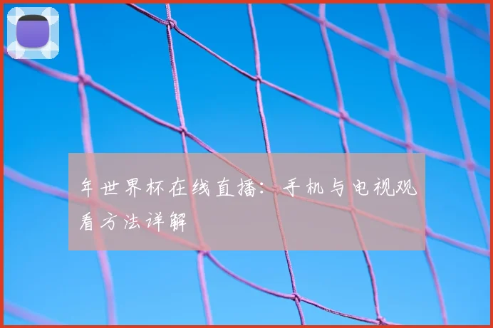 年世界杯在线直播：手机与电视观看方法详解