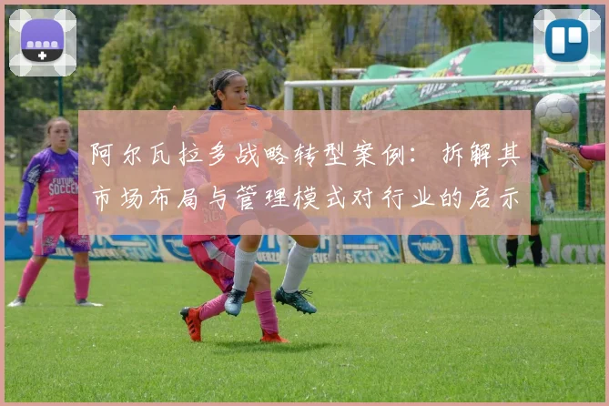 阿尔瓦拉多战略转型案例：拆解其市场布局与管理模式对行业的启示