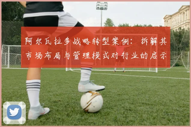 阿尔瓦拉多战略转型案例:拆解其市场布局与管理模式对行业的启示
